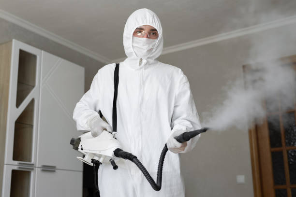 Best Emergency Mold Remediation  in North Bennington, VT